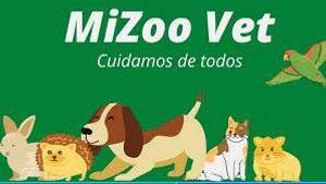 Veterinaria MiZoo Exotic Vet
