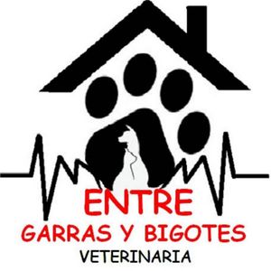 Veterinaria Entre garras y bigotes