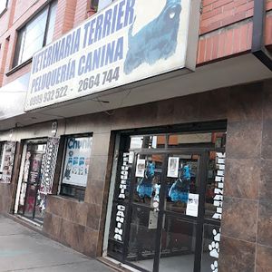 Veterinaria Terrier