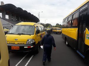 Veterinario Tribuna del Sur