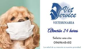VETSERVICE VETERINARIA