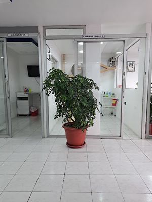 Clínica Veterinaria de Especialidades EL PREDICADOR