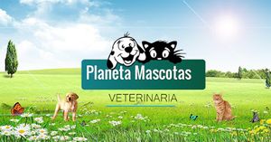 Planeta Mascotas Veterinaria