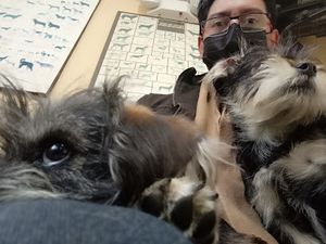 Clínica Veterinaria SOLANDA