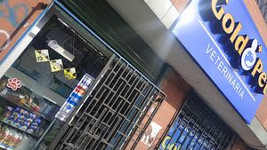 Gold Pet Peluquería/Medicinas