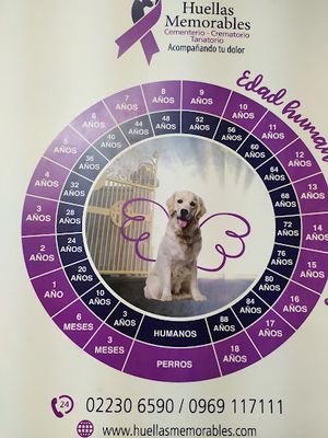 Clínica Veterinaria