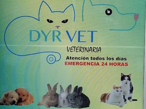 Veterinaria DyrVet
