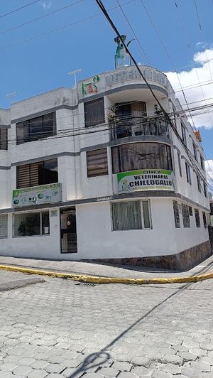 Clínica Veterinaria Chillogallo