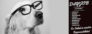 Veterinaria DayjobVeterinaria Dayjob