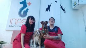 Sabani Veterinaria
