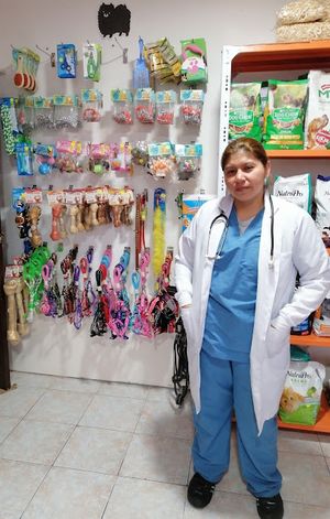 LOBER Clinica Veterinaria