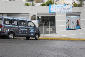 Veterinaria Bassetcats.